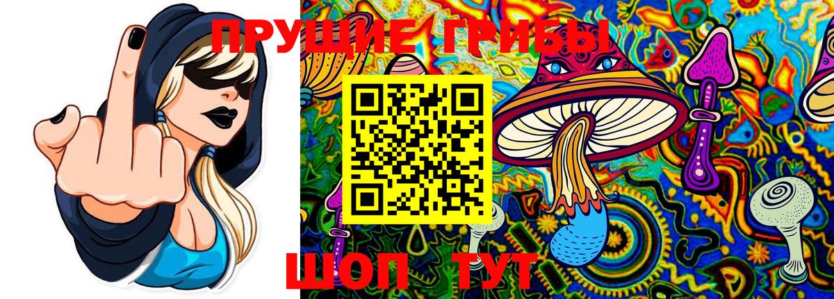 Семёнов  наркота  Вход с VPN  Галлюциногенные грибы MAGIC MUSHROOMS 